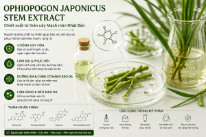 ophiopogon japonicus stem extract la hoat chat gi cong dung trong duoc my pham