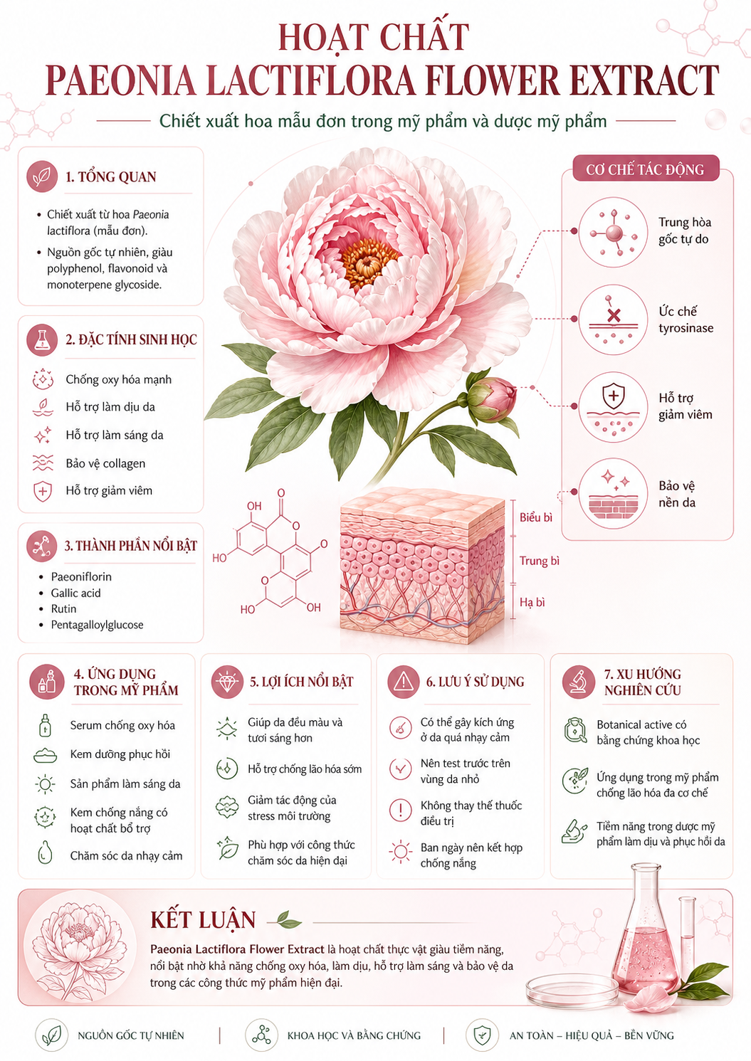 paeonia lactiflora flower extract la hoat chat gi cong dung trong duoc my pham