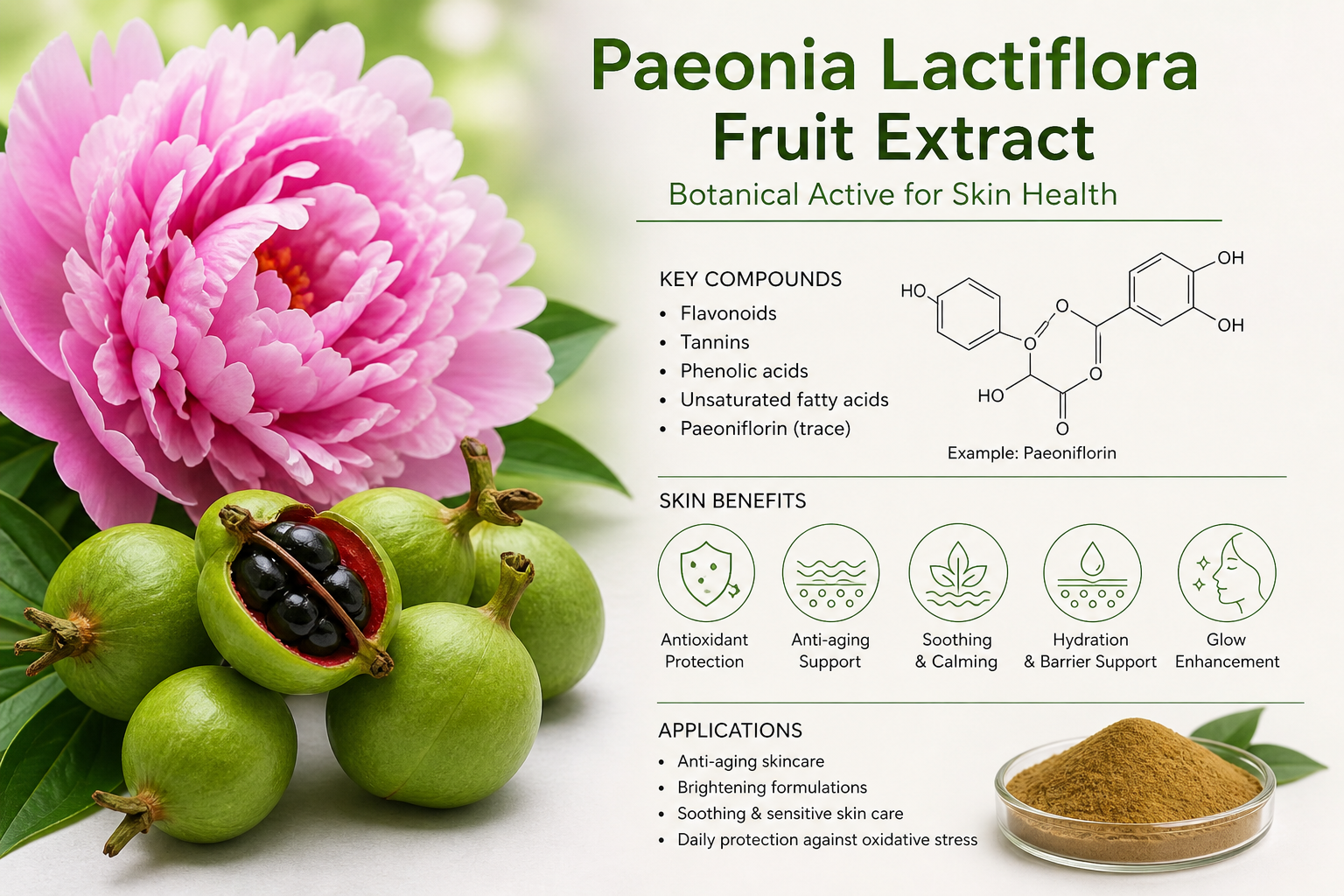 paeonia lactiflora fruit extract la hoat chat gi cong dung trong duoc my pham